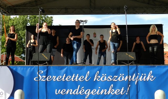 Megyei Közfoglalkoztatási Kiállítás 144